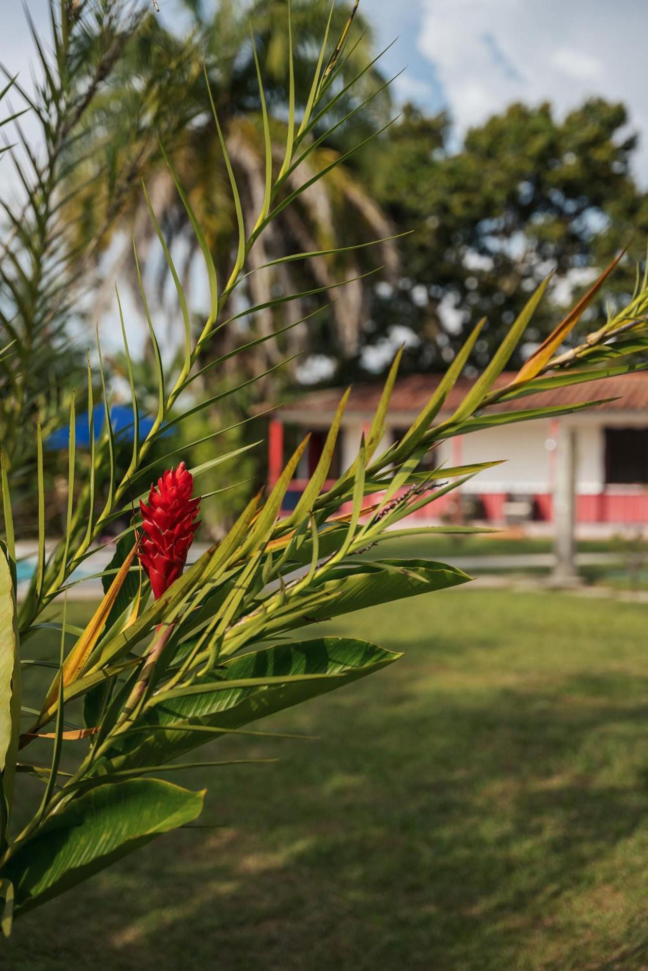 Finca Hotel Puerto Espejo Екстериор снимка